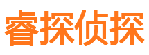 回民调查公司